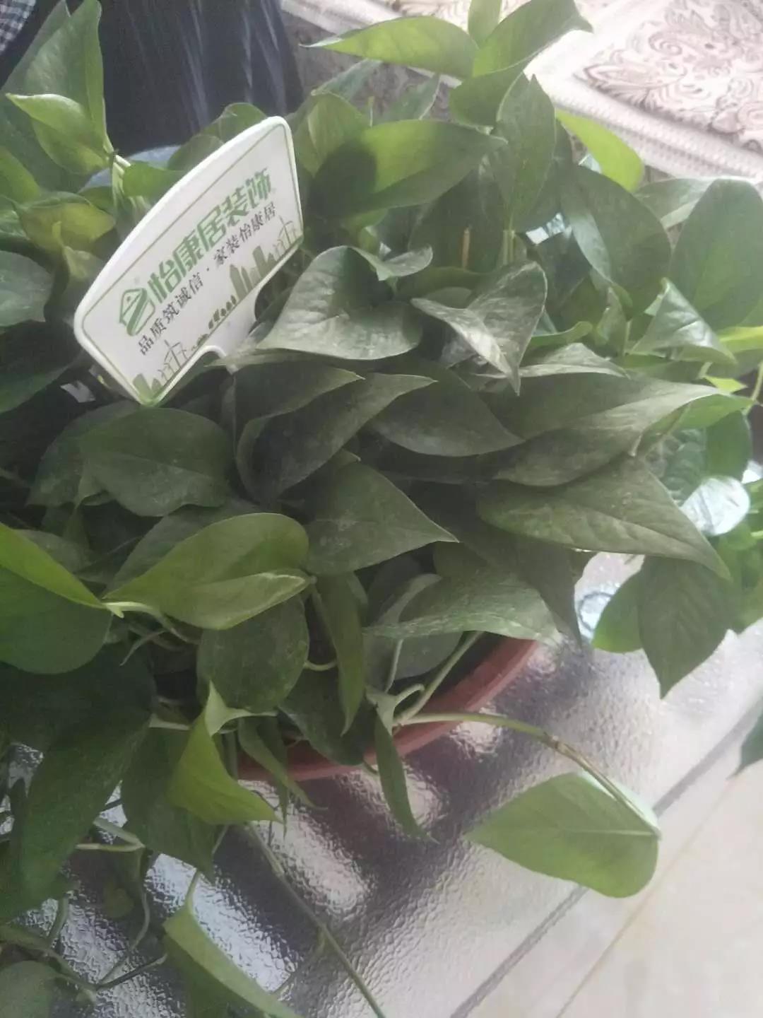淄博裝修公司