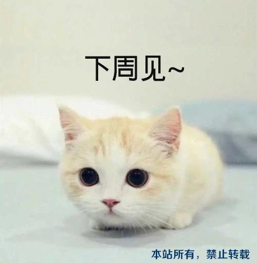 在線工地 | 工地跟蹤，直擊工地進(jìn)程